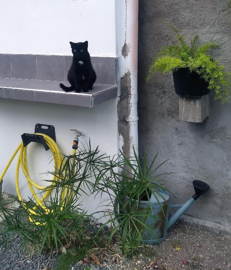 Chambre Avec Cuisine Et Sdb Semi-Privatives Separees Dans Un Ecrin De Verdure レザビーム エクステリア 写真